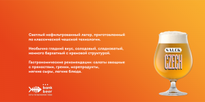 Salek Чешский лагер